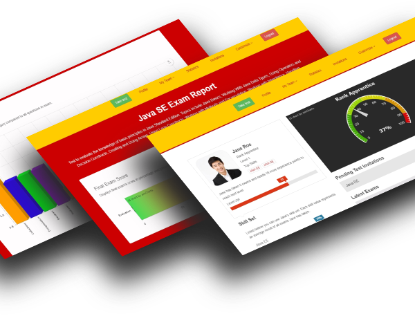 Platform for candidates’ skills assessment and team management — screenshot 4